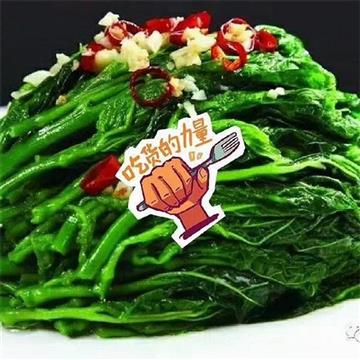 桑嫩芽